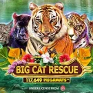 Big Cat Rescue Megaways