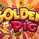 Golden Pig