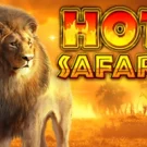 Hot Safari