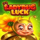 Ladybug Luck