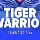 The Tiger Warrior