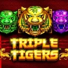 Triple Tigers