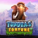 Tundra’s Fortune