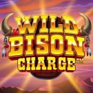 Wild Bison Charge