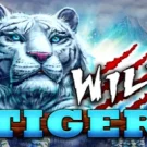 Wild Tiger